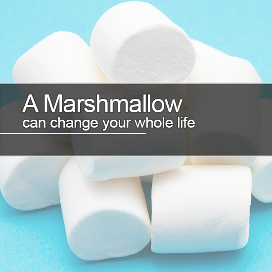 How a Marshmallow Can Change Your Whole Life!