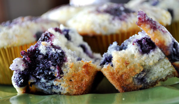 Healthy Blueberry Muffins – Absolutely Delicious